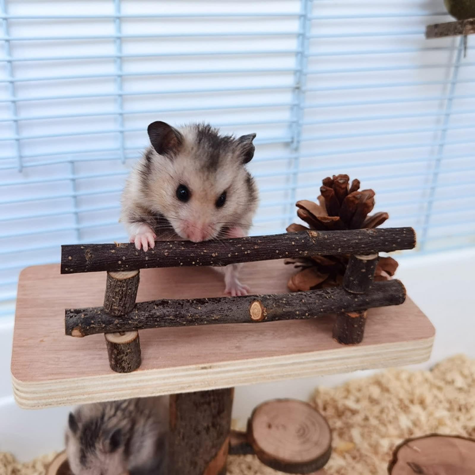 Amazon.co.jp: ハムスター おもちゃ 2階 登り木 天然木製 運動不足